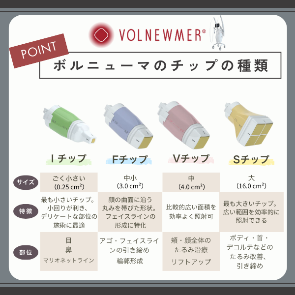 ボルニューマのチップの種類一覧