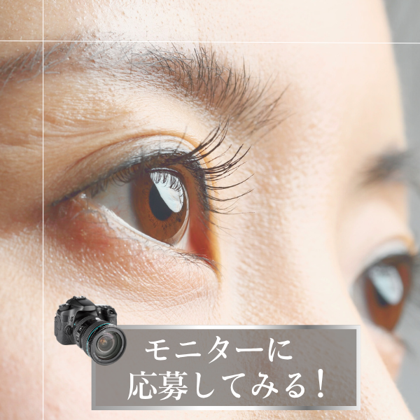 モニターに応募してみる